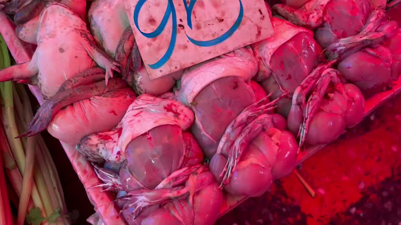 Frogs For Sale Suffering At Food Market