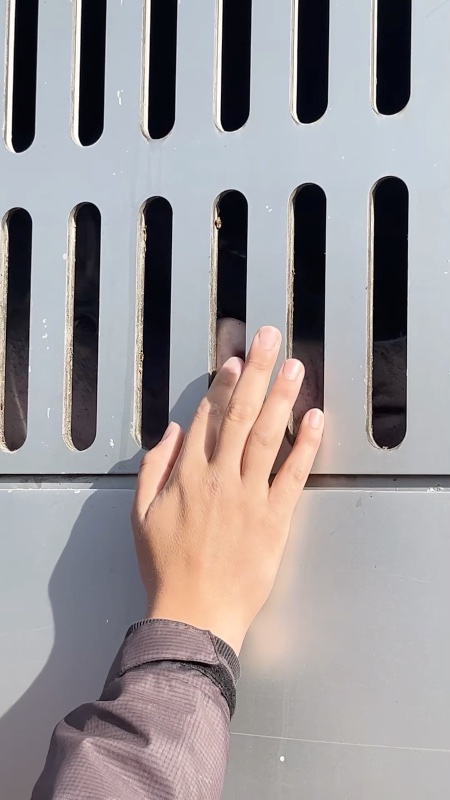 Activist Tries to Comfort Pig Inside a Slaughterhouse Truck at Vigil